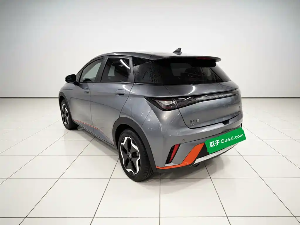 BYD Dolphin — миниатюра 4