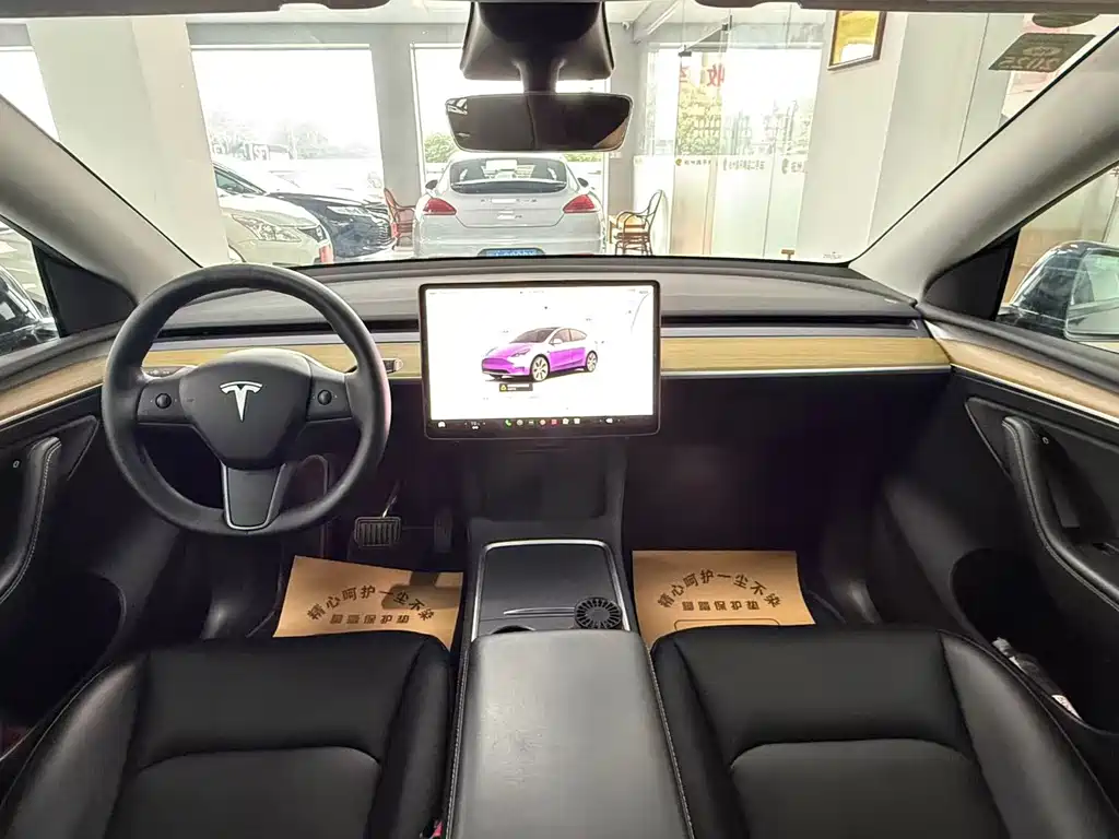 Tesla Model Y — миниатюра 7