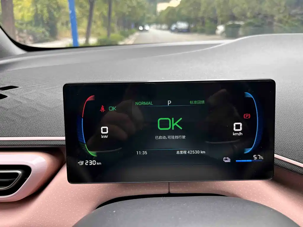 BYD Seagull — миниатюра 23
