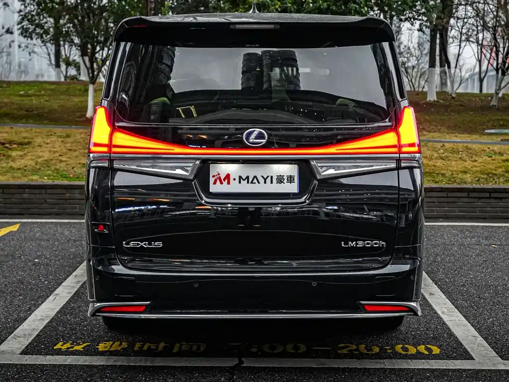 LEXUS LM