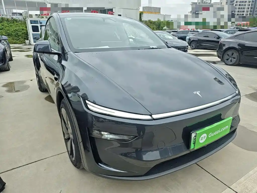 Tesla Model Y — миниатюра 4