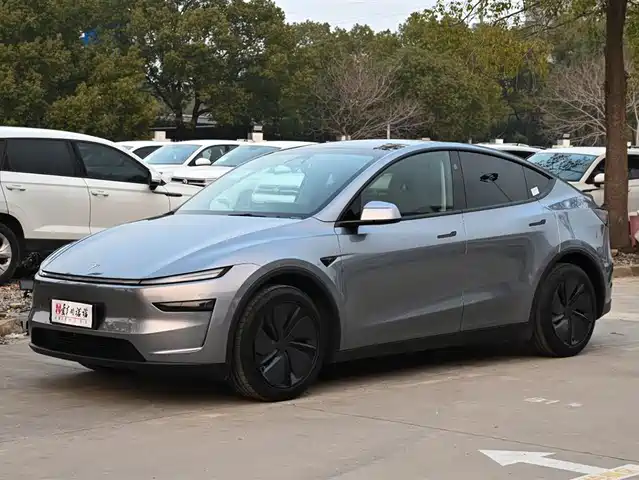TESLA MODEL Y 2025