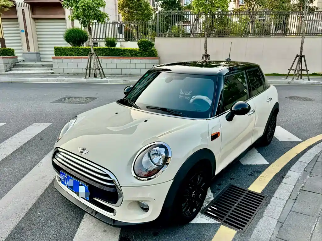 Mini Mini 2016