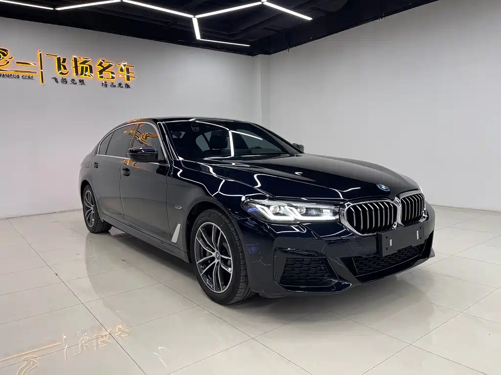 BMW 5 SERIES NEW ENERGY