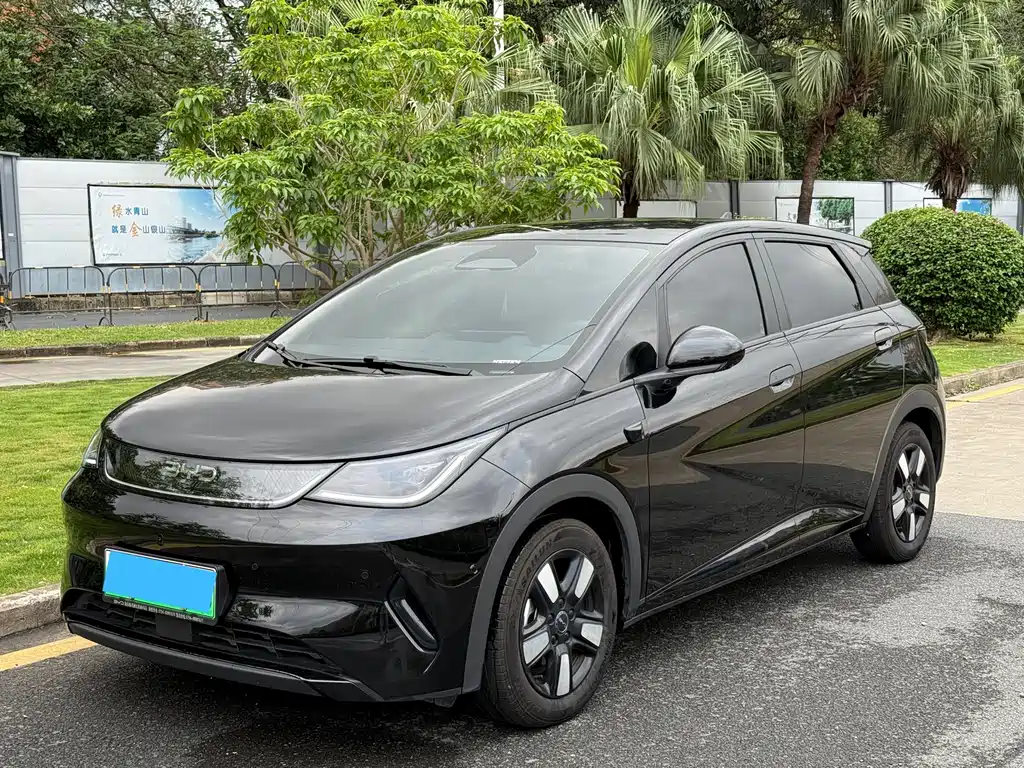 Byd Dolphin 2025