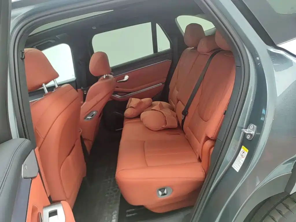 BYD Дон Л. — миниатюра 17