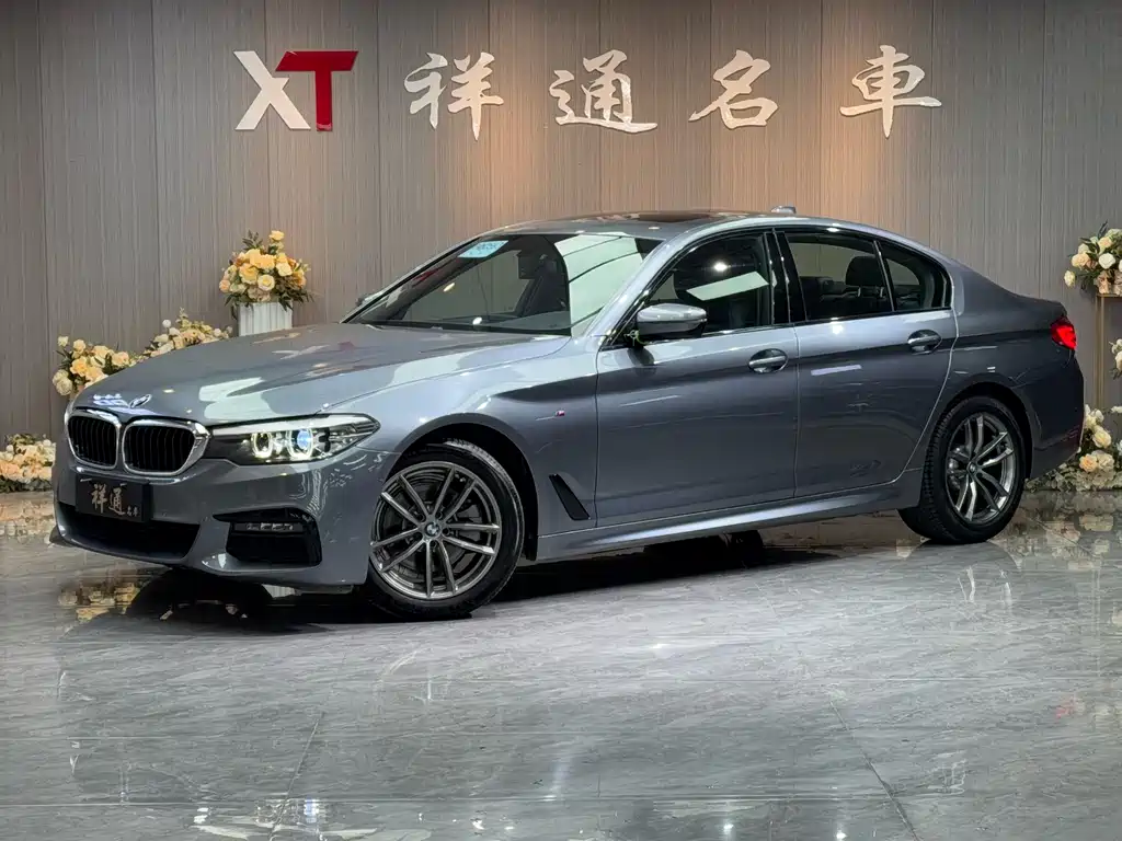 BMW 5 Series (Import) 2019