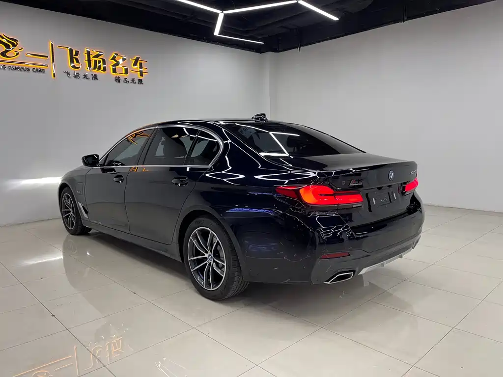 BMW 5 SERIES NEW ENERGY