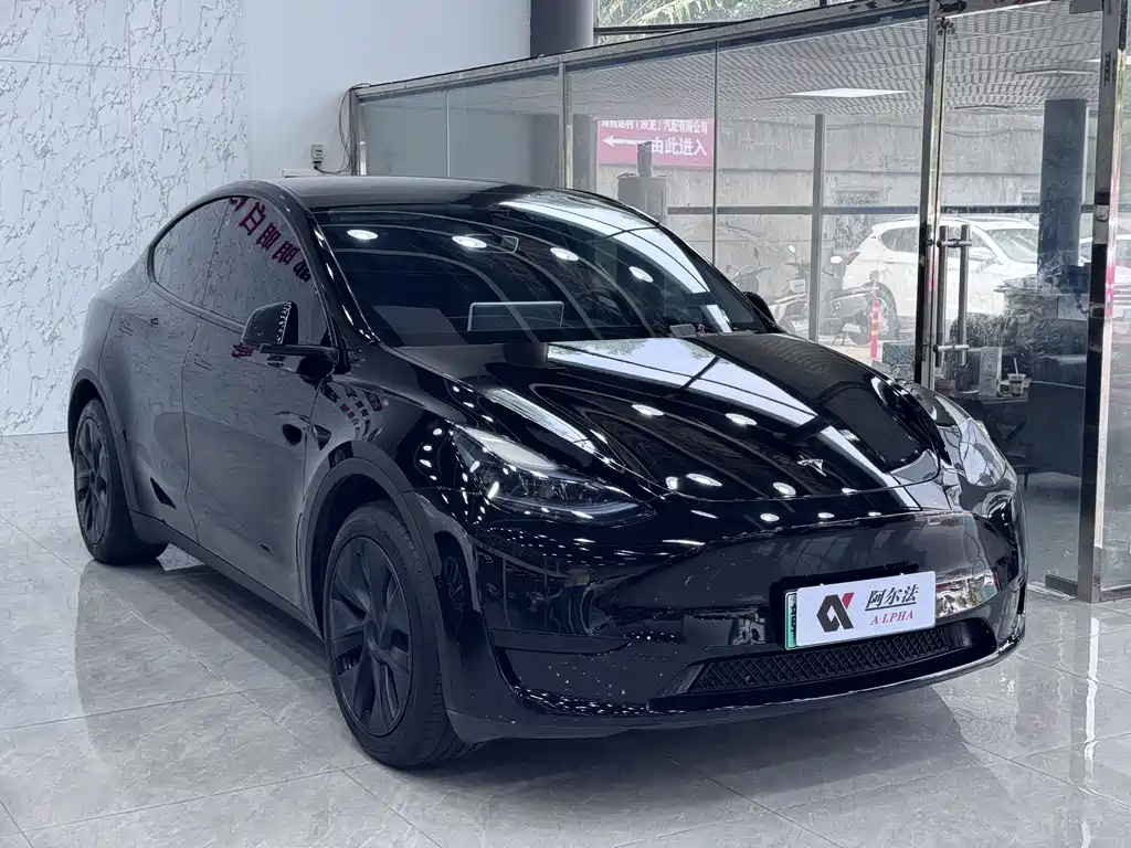 Tesla Model Y — миниатюра 3