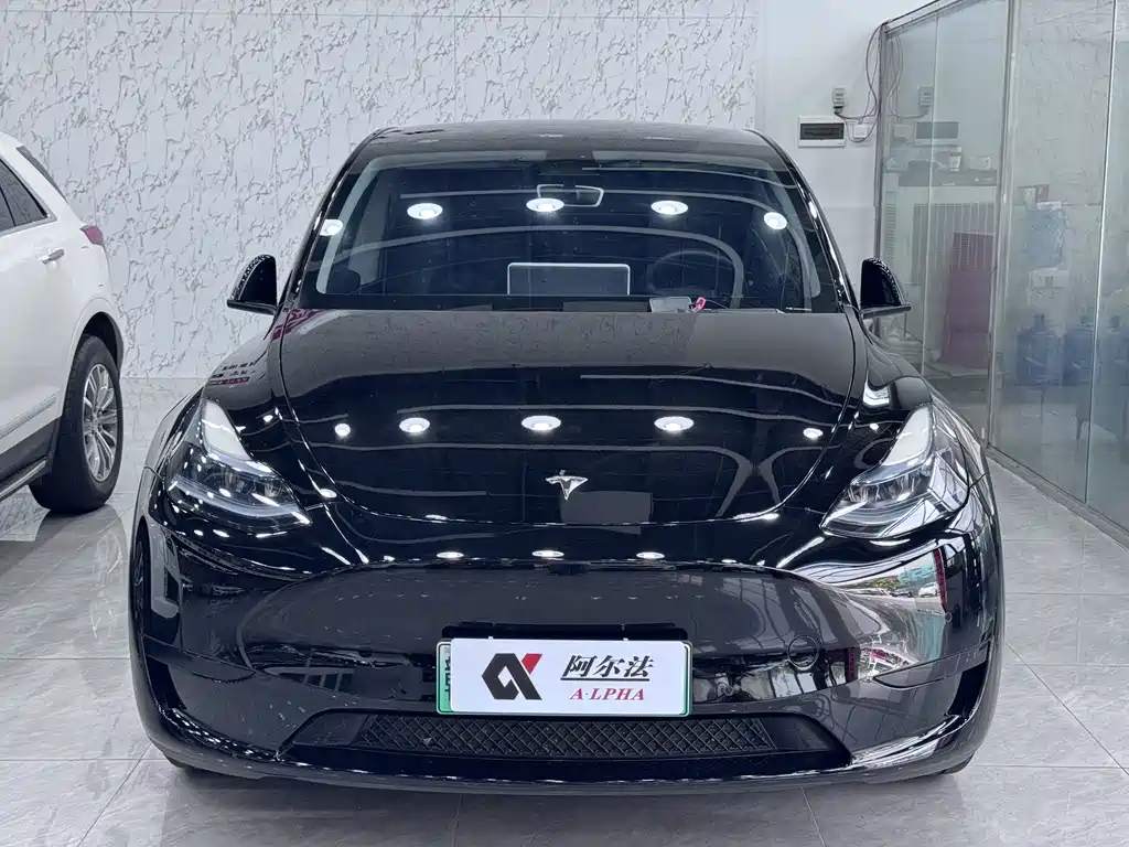 Tesla Model Y — миниатюра 2