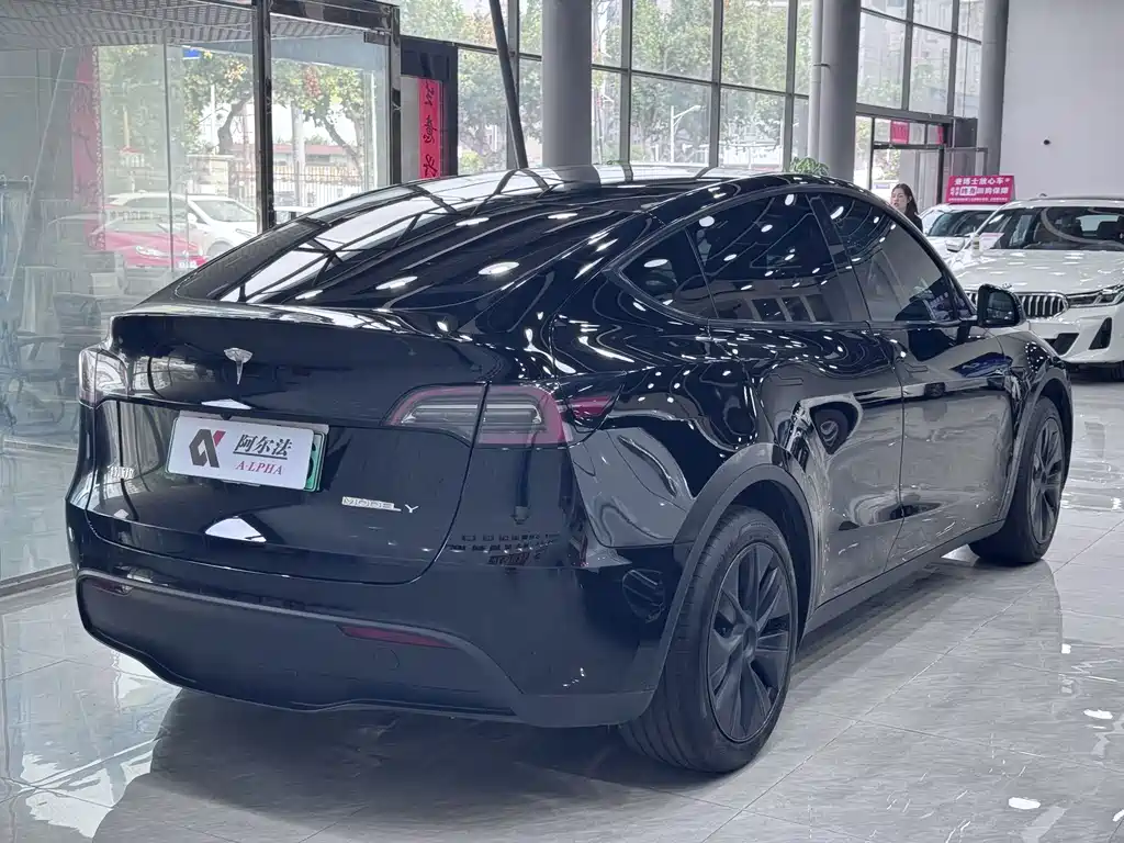 Tesla Model Y — миниатюра 4