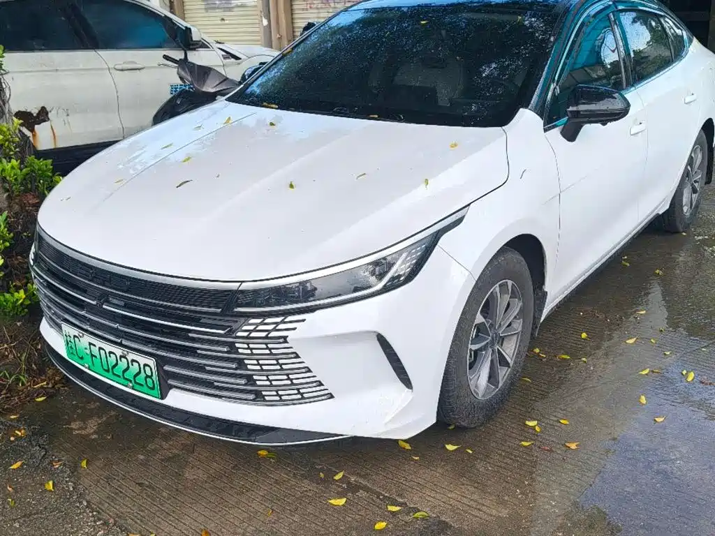 BYD Destroyer 05 2024 DM-i 55KM Luxury