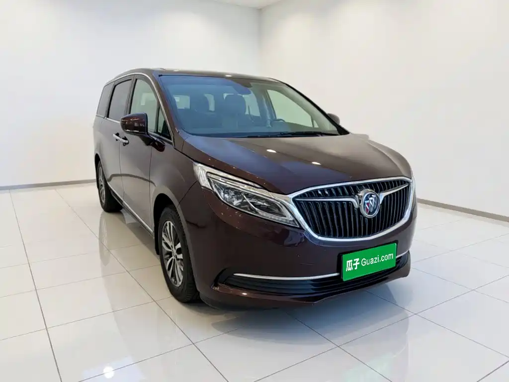 Buick GL8 — миниатюра 24