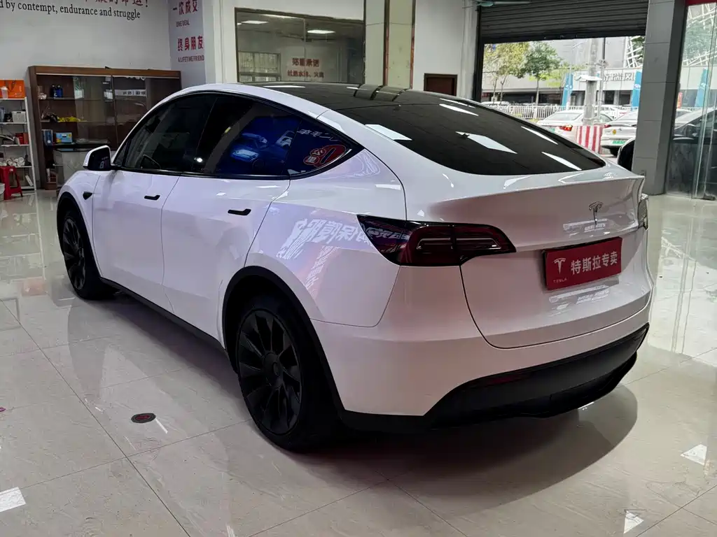 Tesla Model Y — миниатюра 8