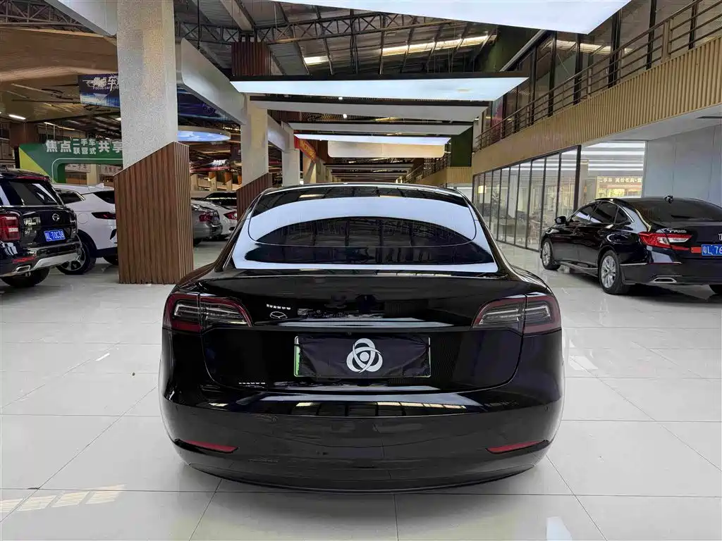 Tesla Model 3 — миниатюра 8