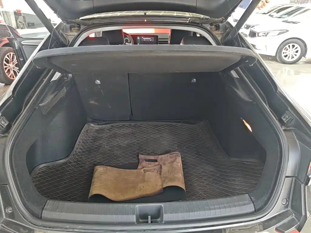Volkswagen Lamando — миниатюра 19