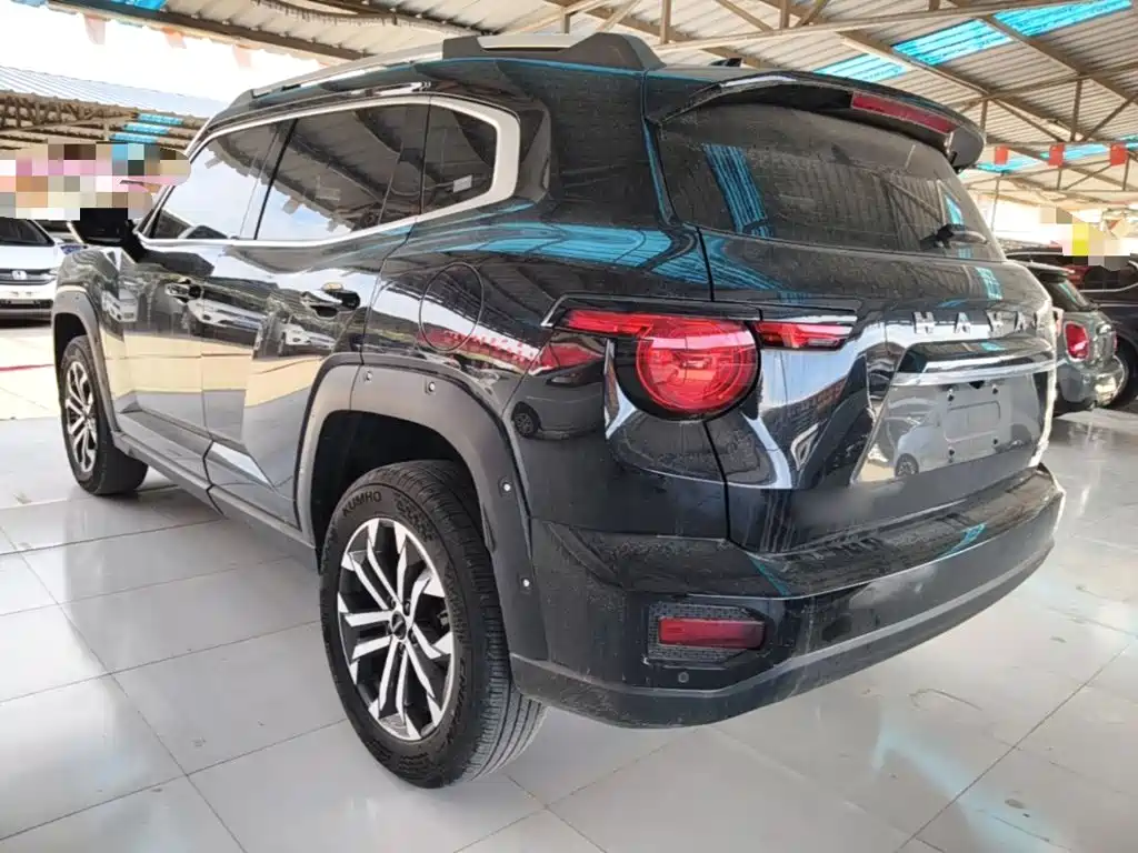 Haval Big Dog PLUS — миниатюра 5