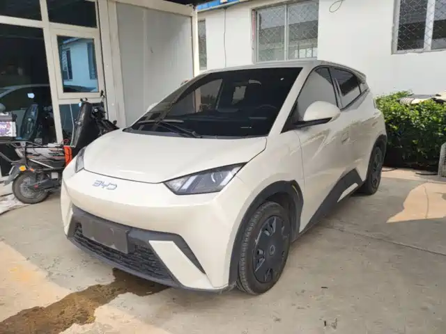 2024 BYD Seagull