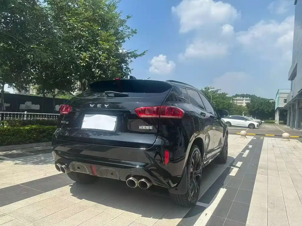 Wey Wey VV7 — миниатюра 9