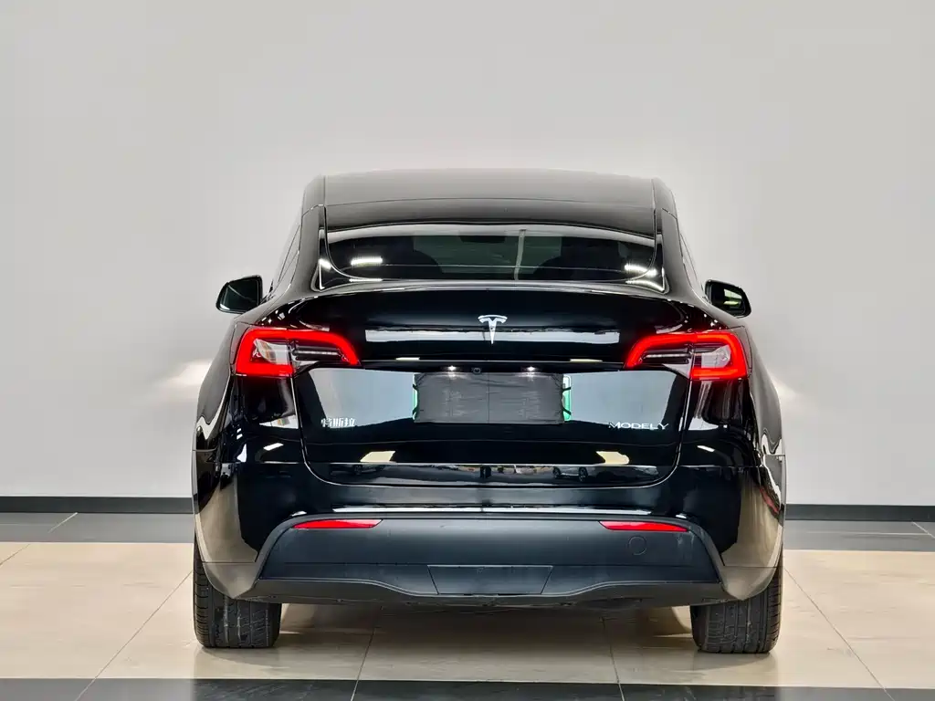 Tesla Model Y — миниатюра 7