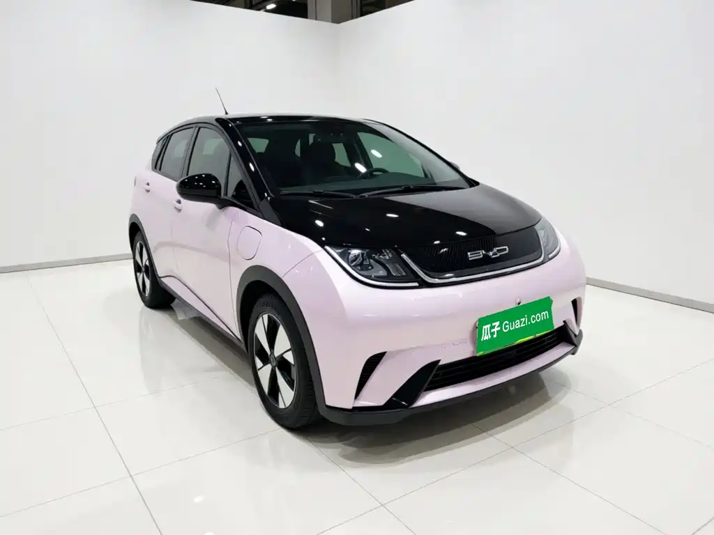 BYD Dolphin — миниатюра 3