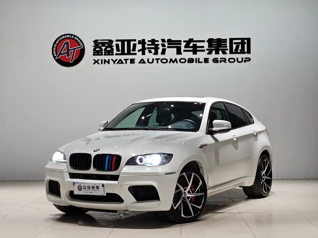 BMW X6 M 2010