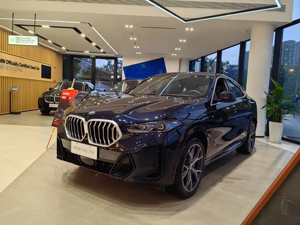 BMW X6