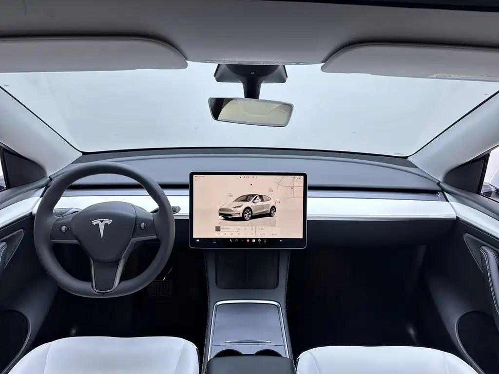 Tesla Model Y — миниатюра 21