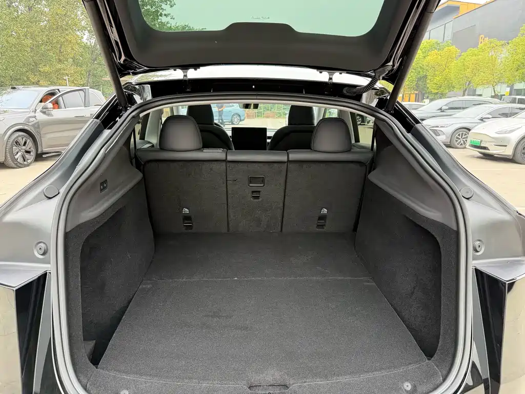 Tesla Model Y — миниатюра 14