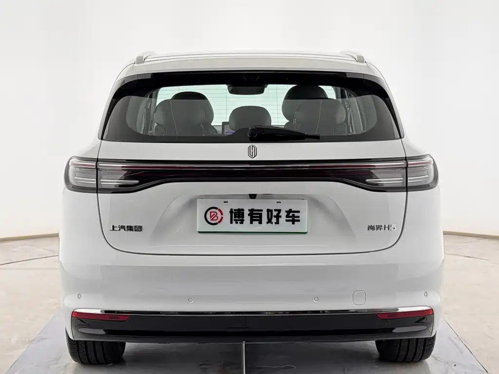Shangjie Shangjie H5 — миниатюра 12