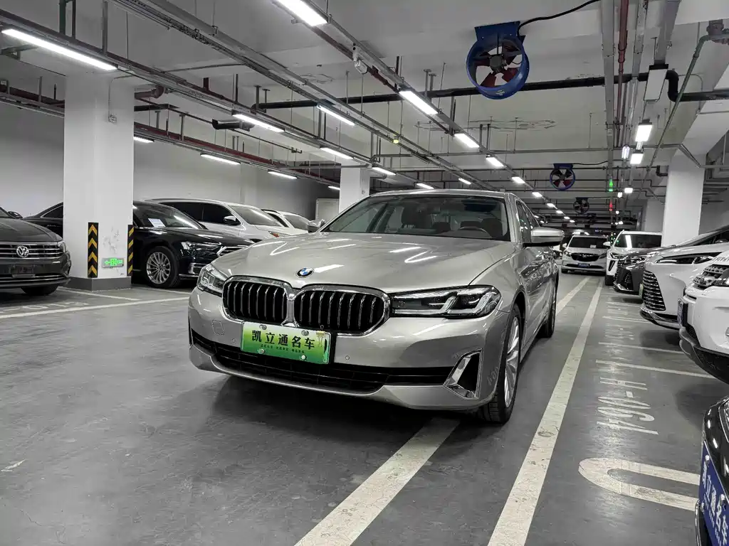 BMW 5 Series New Energy 2020