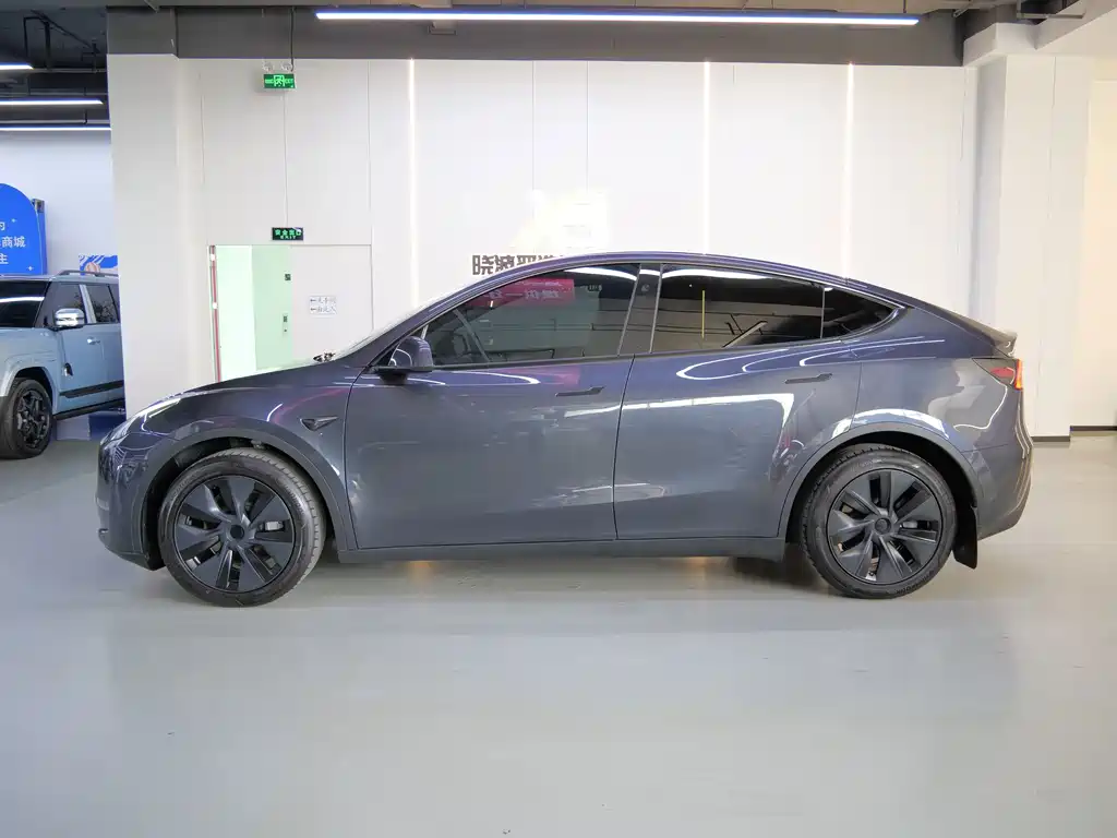 Tesla Model Y — миниатюра 3