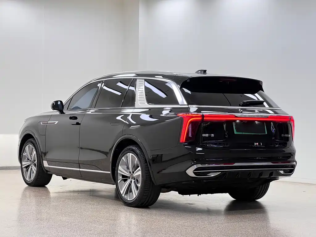 Hongqi Hongqi E-HS9 — миниатюра 4