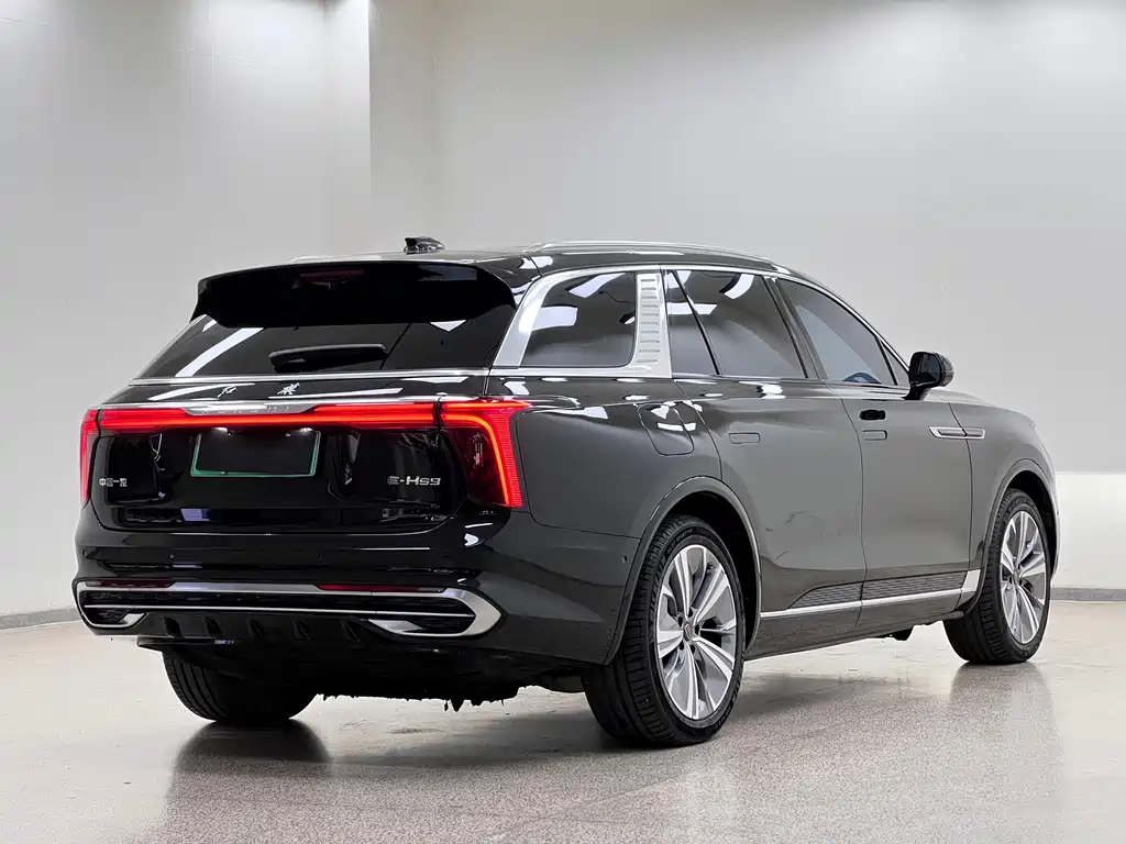 Hongqi Hongqi E-HS9 — миниатюра 6