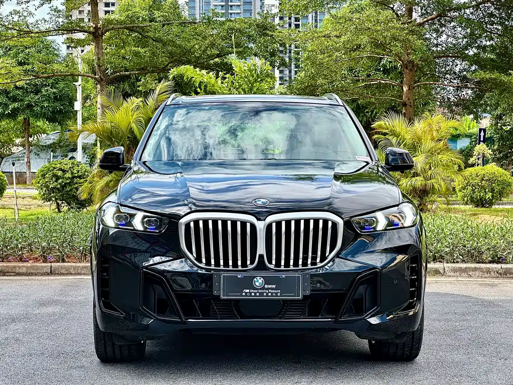 BMW X5 2014 xDrive35i Elegant
