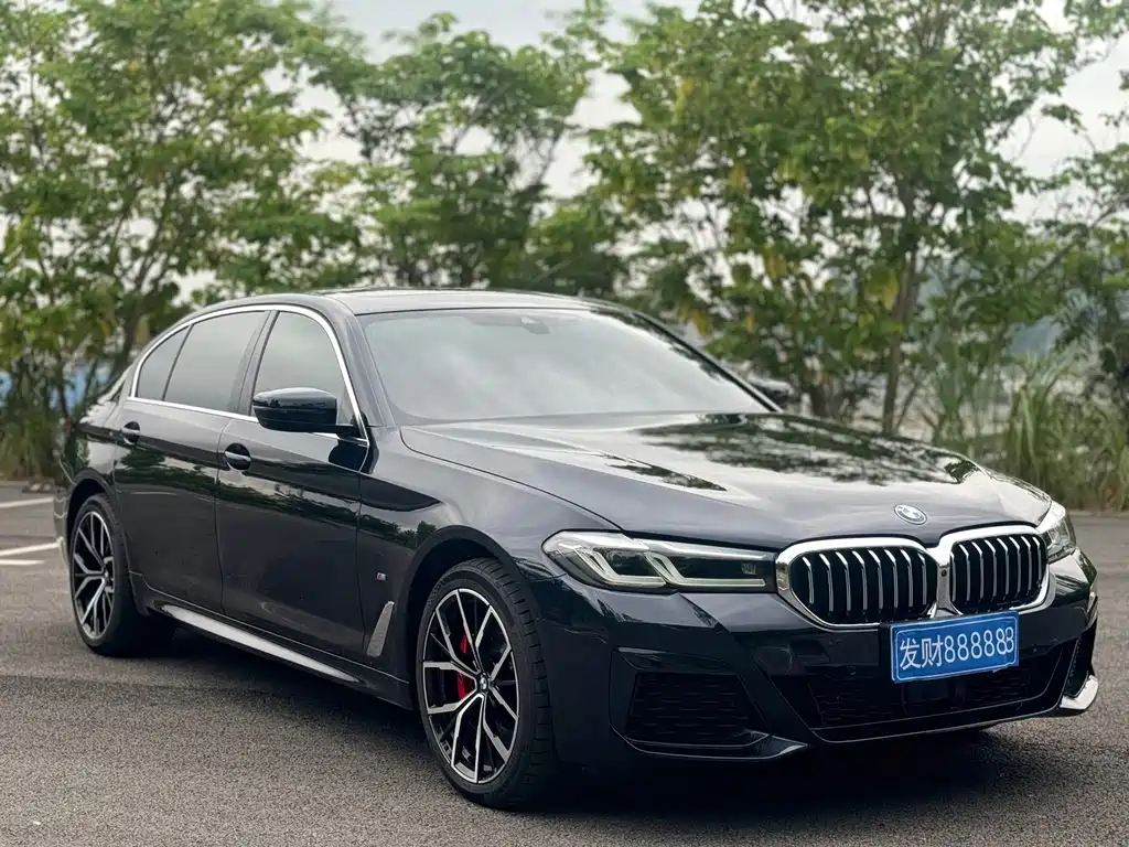 BMW 5 Series 5 2022 530Li Premium M Sport