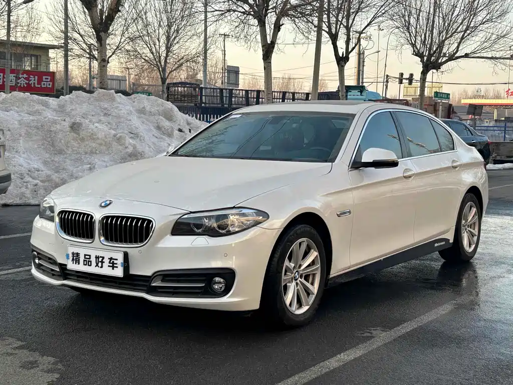 BMW 5 Series 520Li Elegant Type, фото 2