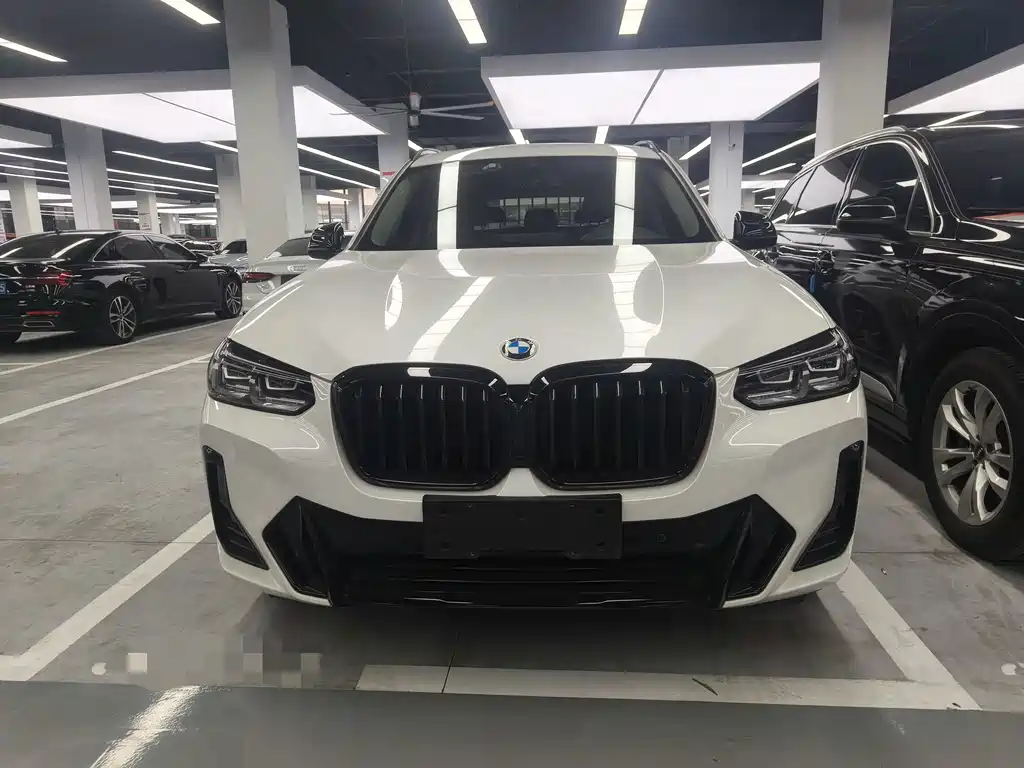 BMW X3 — миниатюра 2