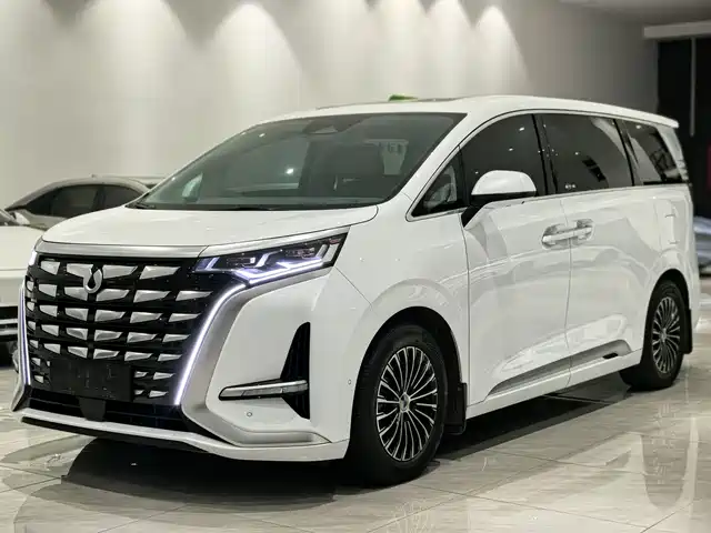 2023 Denza D9