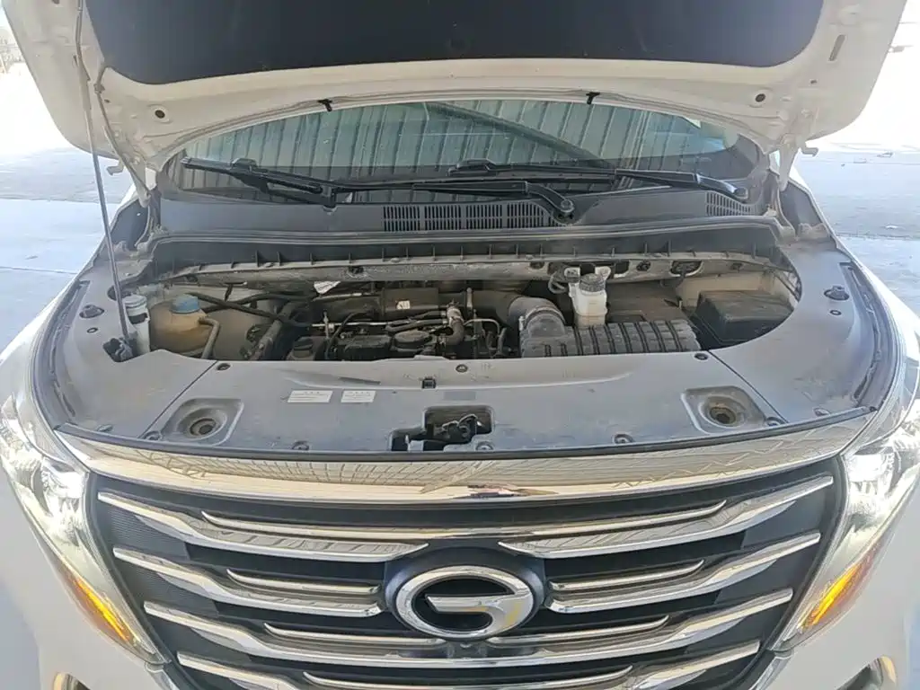 GAC Motor Trumpchi M8 — миниатюра 20