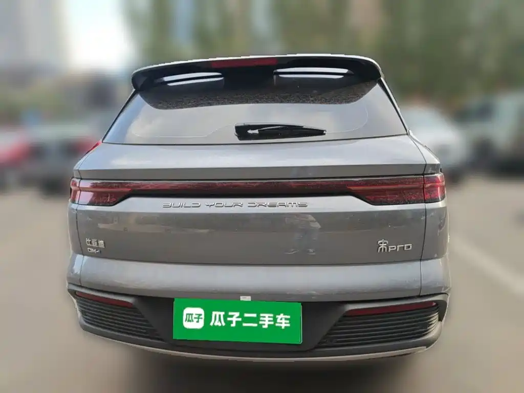 BYD Pro New Energy — миниатюра 3