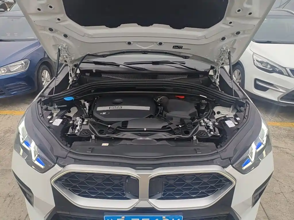 BMW X2 (Import) — миниатюра 20