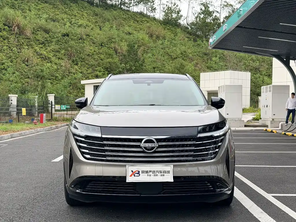 Nissan Teramont — миниатюра 2