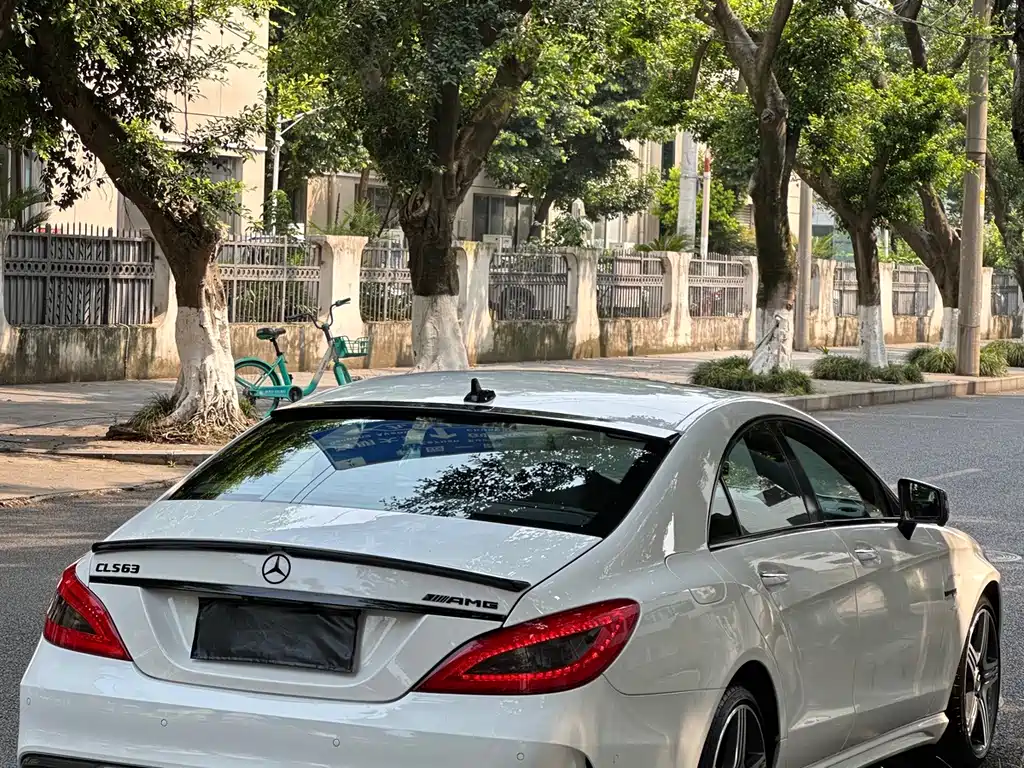 Mercedes-Benz CLS AMG — миниатюра 20