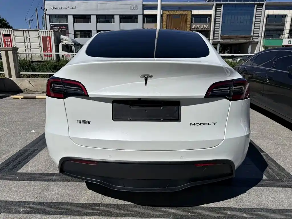 Tesla Model Y — миниатюра 8