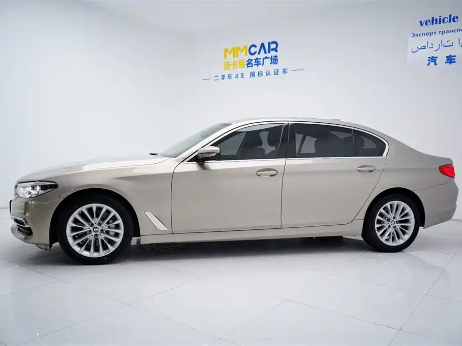BMW 5 Series 5 2019 530Li Premium Luxury