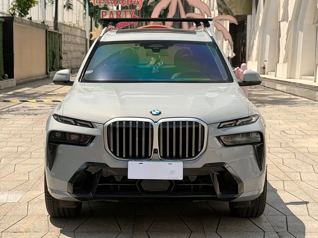 BMW X7 — миниатюра 2