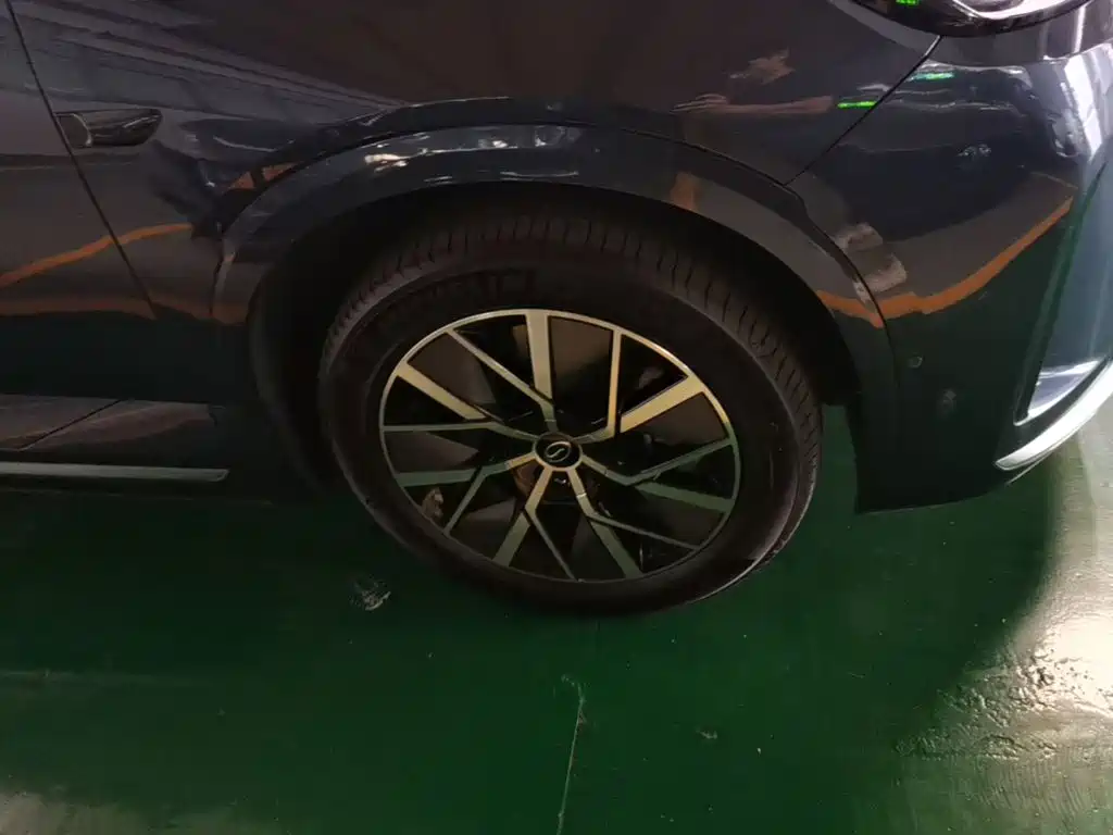 GAC Motor Trumpchi Xiangwang S9 — миниатюра 12