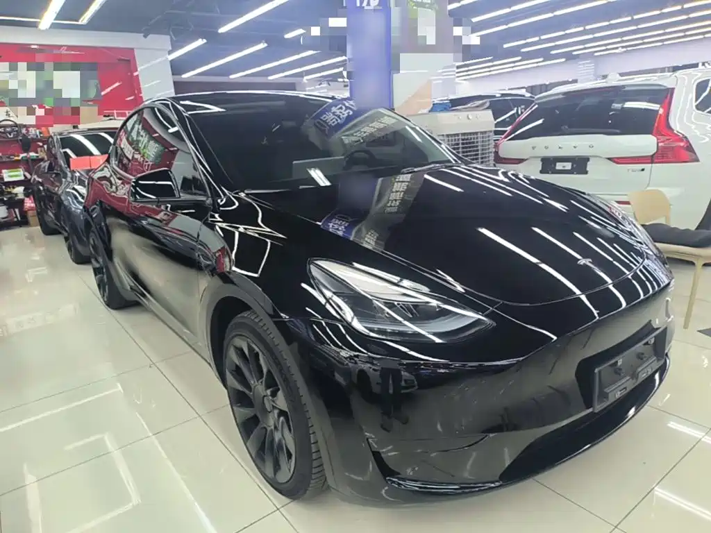 Tesla Model Y — миниатюра 4