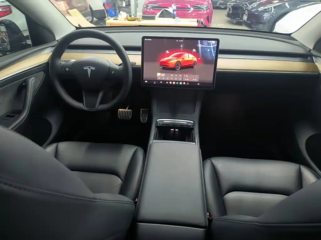 Tesla Model Y — миниатюра 10